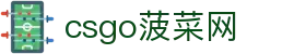 csgo菠菜网(中国区)有限公司官网